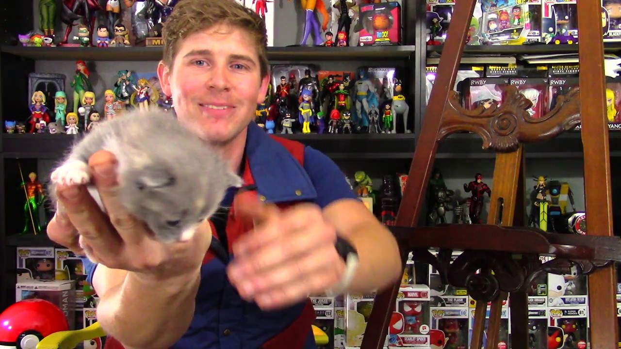 Randomness With Mark Jean Grey Youtube