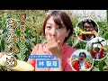 【満点♪あおぞら食堂】#3 幻のとうもろこし！きみひめ「山梨県 甲府市旧中道町」（asst.林 聖海）
