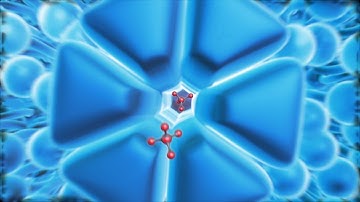 ADME & DDI Expertise: Guidance Through the Pipeline & Patient