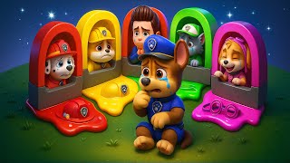 ¡Mis amigos! ¡POR FAVOR, vuelvan conmigo! ¡No dejen a CHASE solo! | PAw PAtrol en Español