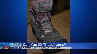 Investigators need help identifying skeletal remains found in remote area near Rye