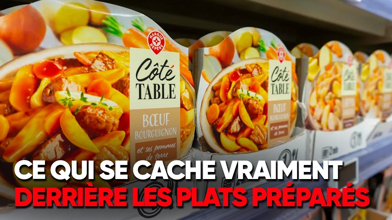 PLATS INDUSTRIELS : savez-vous vraiment ce que vous avalez ? - Documentaire Complet - AMP