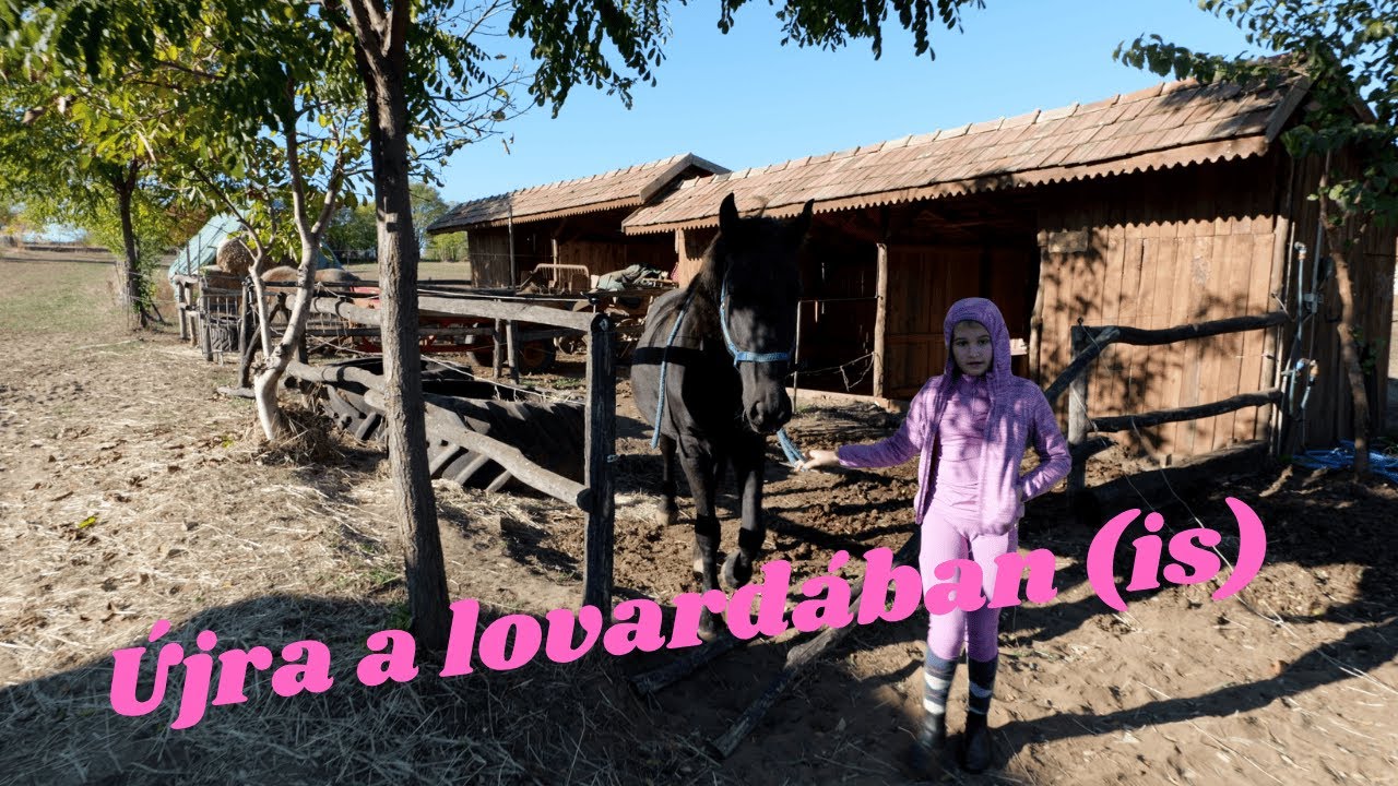 Újra a lovardában