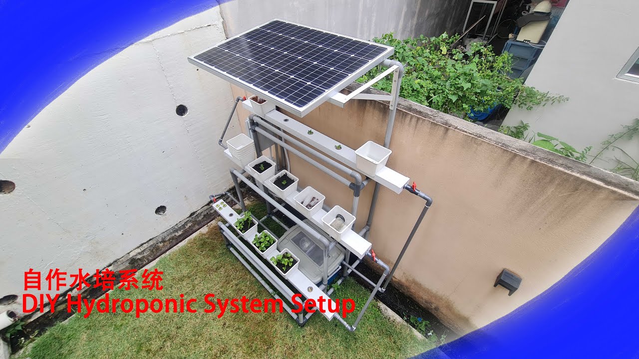 【业】DIY Hydroponic System Setup 自作水培系统 YouTube