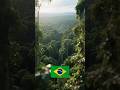 TREES IN AMAZON #Amazon #Trees #Rainforest #Nature #Environment #Biodiversity