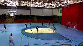 O ESTEO F.S B  2-6  OS TRITÓS Desguaces Vilabella
