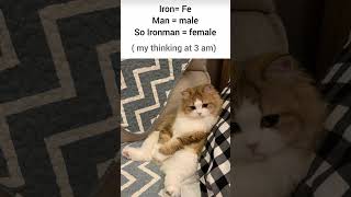 #tweetreels #brokenheart #sadstatus #sad #lofimusic #lofichill #aesthetics #thouths #memes #cat