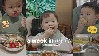 What My🇰🇷korean Baby Eats In🇸🇬singapore-6 Months Transition.. Fr 이유식(baby Food)🍼to 어른식(adult Food)🍔