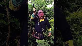 Odins Sword Gram Norse Mythology