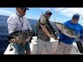 Panama Off Season Exploratory Fishing