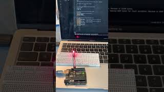2 Blinking LEDs