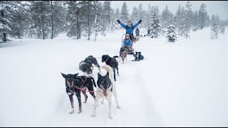 HUSKEY RIDE IN LAPLAND!