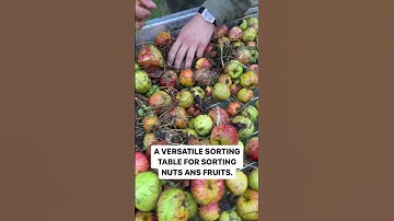 Sorting table Sortier!02