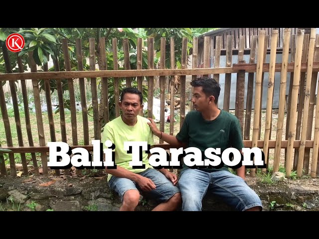 Bali Tarason class=