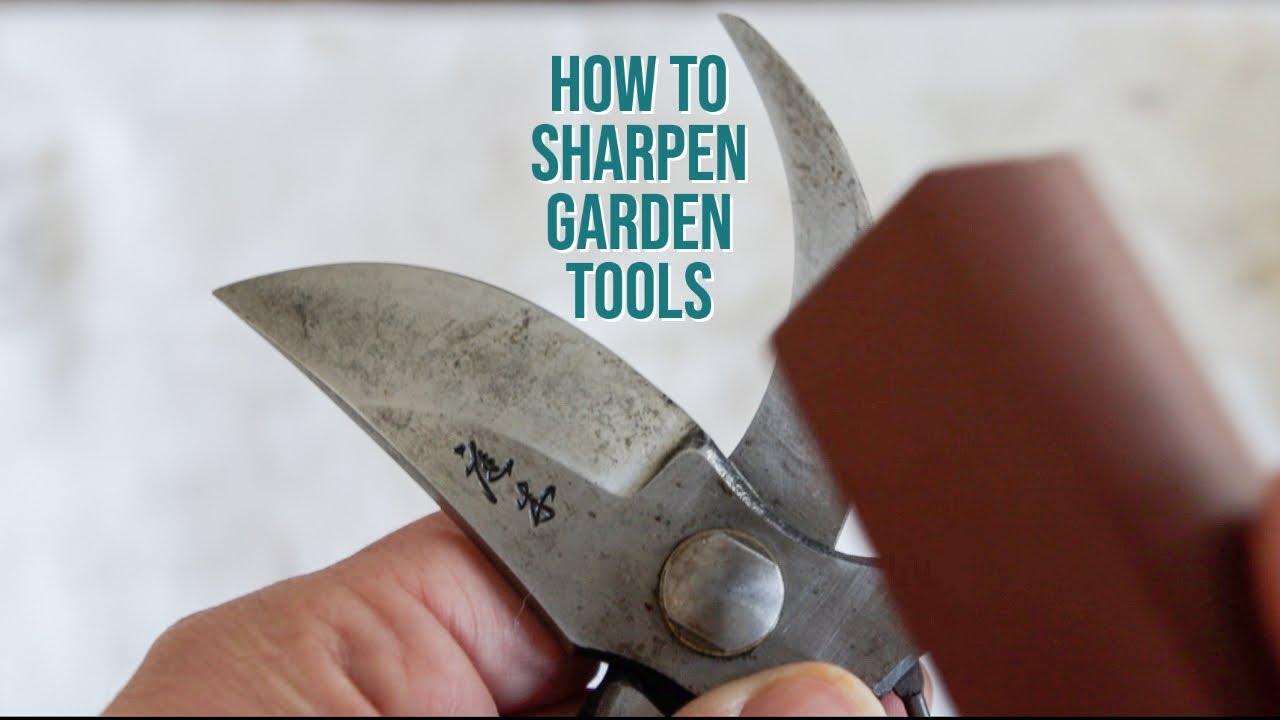 HOW TO SHARPEN PRUNERS The Impatient Gardener YouTube