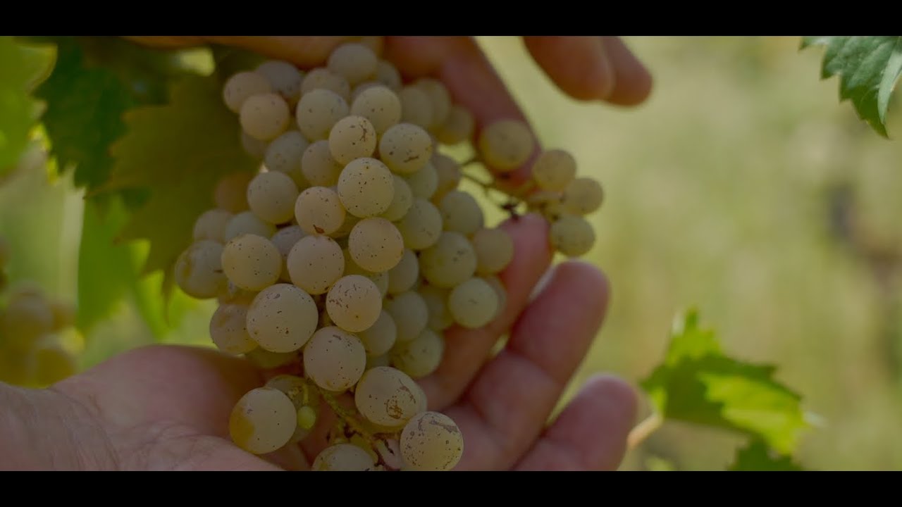 Őrségváltás az „Úr szőlőjében”