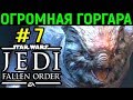 Эпичный босс Горгара - Звёздные Войны Джедаи Павший Орден / Star Wars Jedi Fallen Order Gorgara Boss