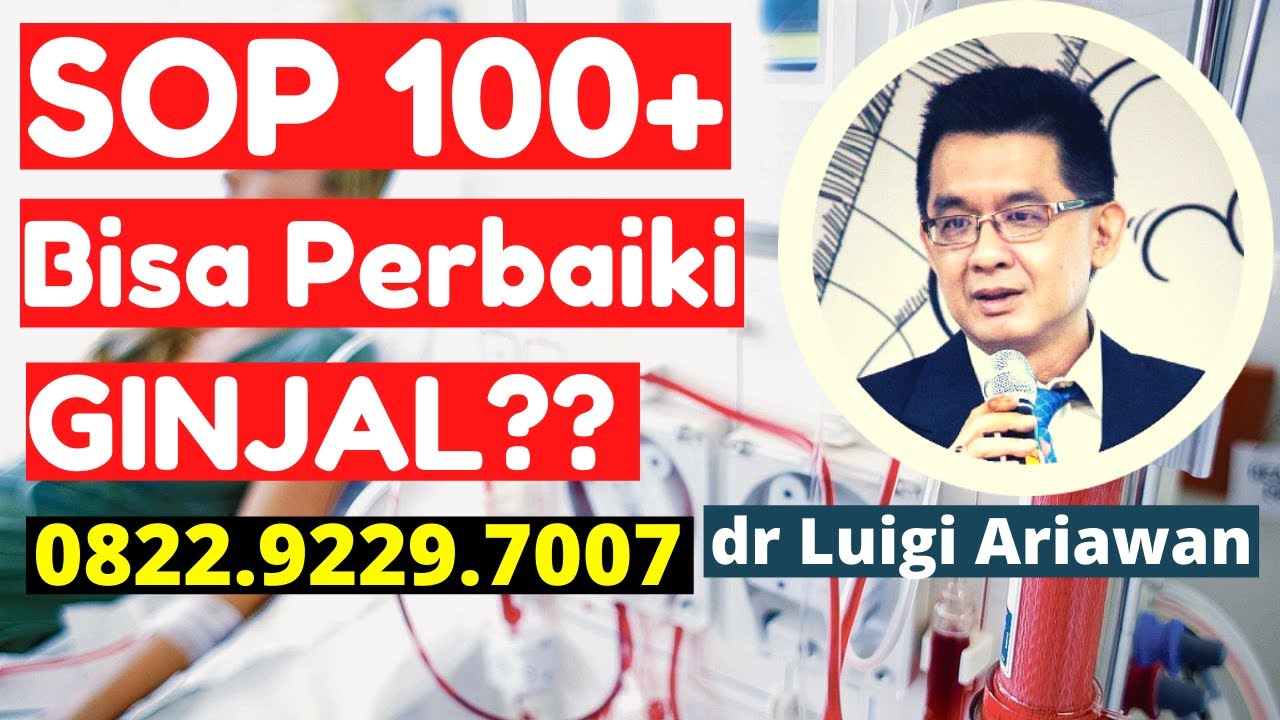 dr Luigi Ariawan: Cara Memperbaiki Fungsi Ginjal dengan SOP 100+ 