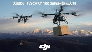 大疆DJI FC100 旗舰运载无人机详细介绍 | DJI FC100 flagship carrier drone detailed introduction【English Subtitles】