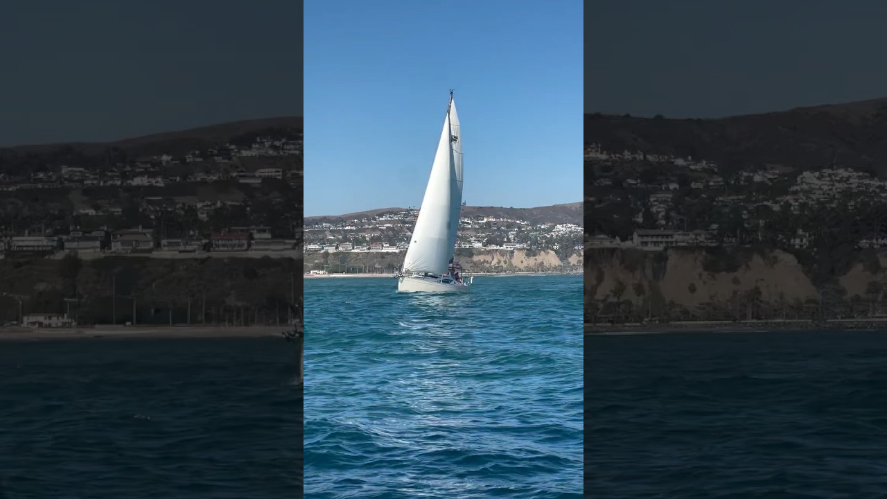 ⛵️Sailing & Wine⛵️