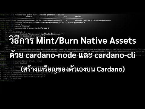 พื้นฐาน Cardano | สอนวิธี Mint/Burn เหรียญ Native Assets บน Cardano ด้วย node และ cli [Cardano 101]
