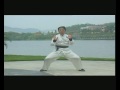 Lam Yan (林欣) - Kyu Kyun (桥功)