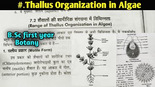 Thallus Organization in Algae || B.Sc first year Botany first semester