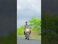 #short #duke