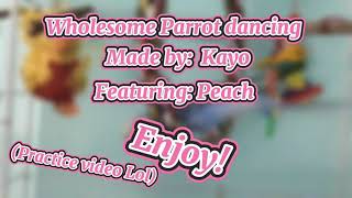 Wholesome Parrot Dancing- Practice Video