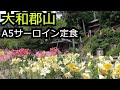 松尾寺カサブランカと黒毛和牛サーロイン定食【奈良 大和郡山市】