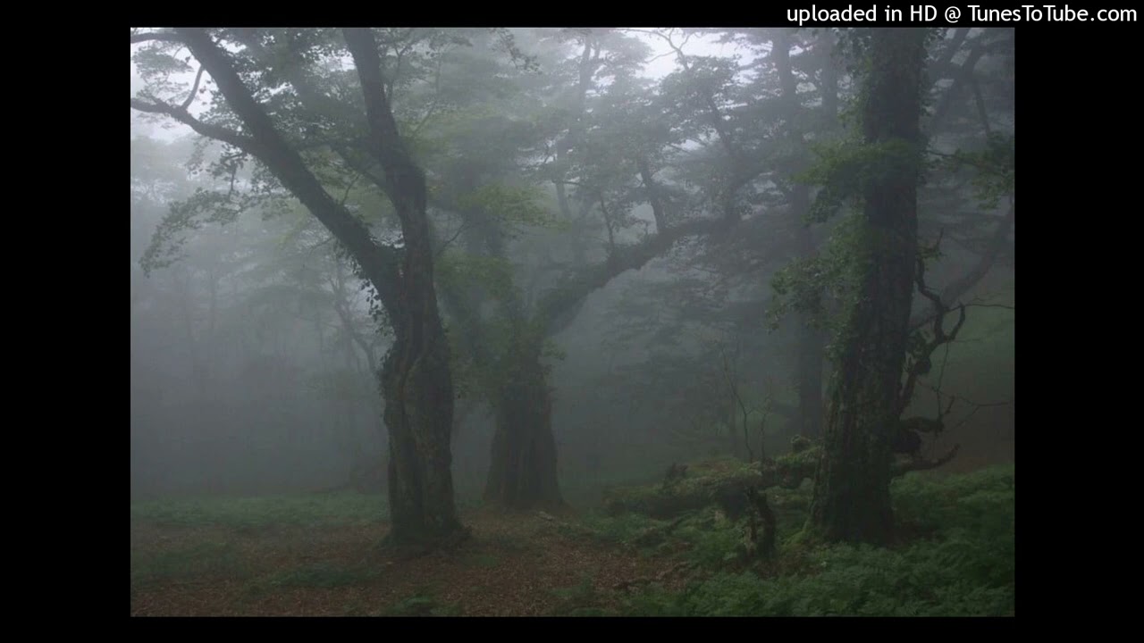 [FREE] taylor morgan + kuru + blackwinterwells type beat [prod. negative.creeper + fozo]