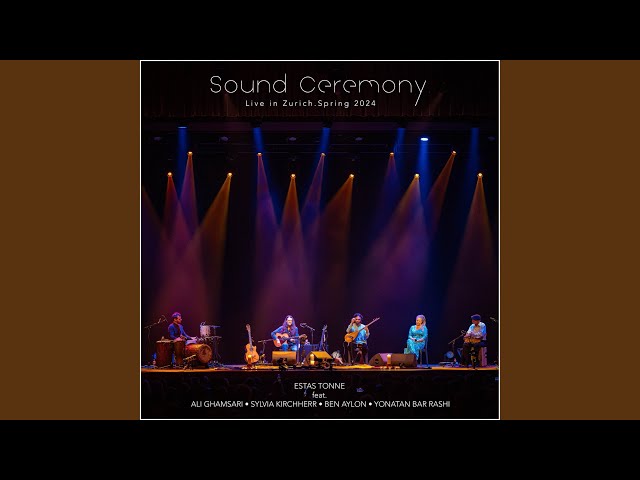 Internal Flight Journey-The Essence (Live)