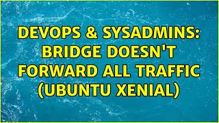 Celebrity DevOps & SysAdmins: Bridge doesn't forward all traffic (Ubuntu Xenial) Profile