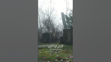 سورة العنكبوت || الشيخ عبدالرحمن مسعد || #قرآن #قران_كريم