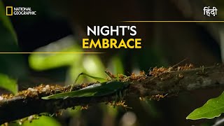 Night's Embrace | Dead by Dawn | Full Episode | S01-05 | National Geographic