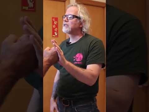 Moving With No Force Wing Chun With Sifu John Kaufman 
