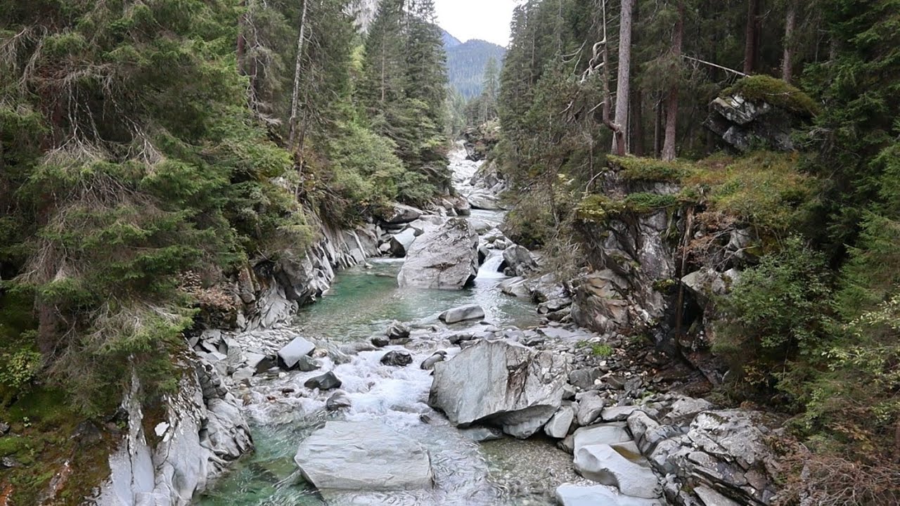 Europe episode 4: Magic Wood