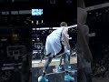 Donte Divincenzo bounce alley oop from Donovan Mitchell