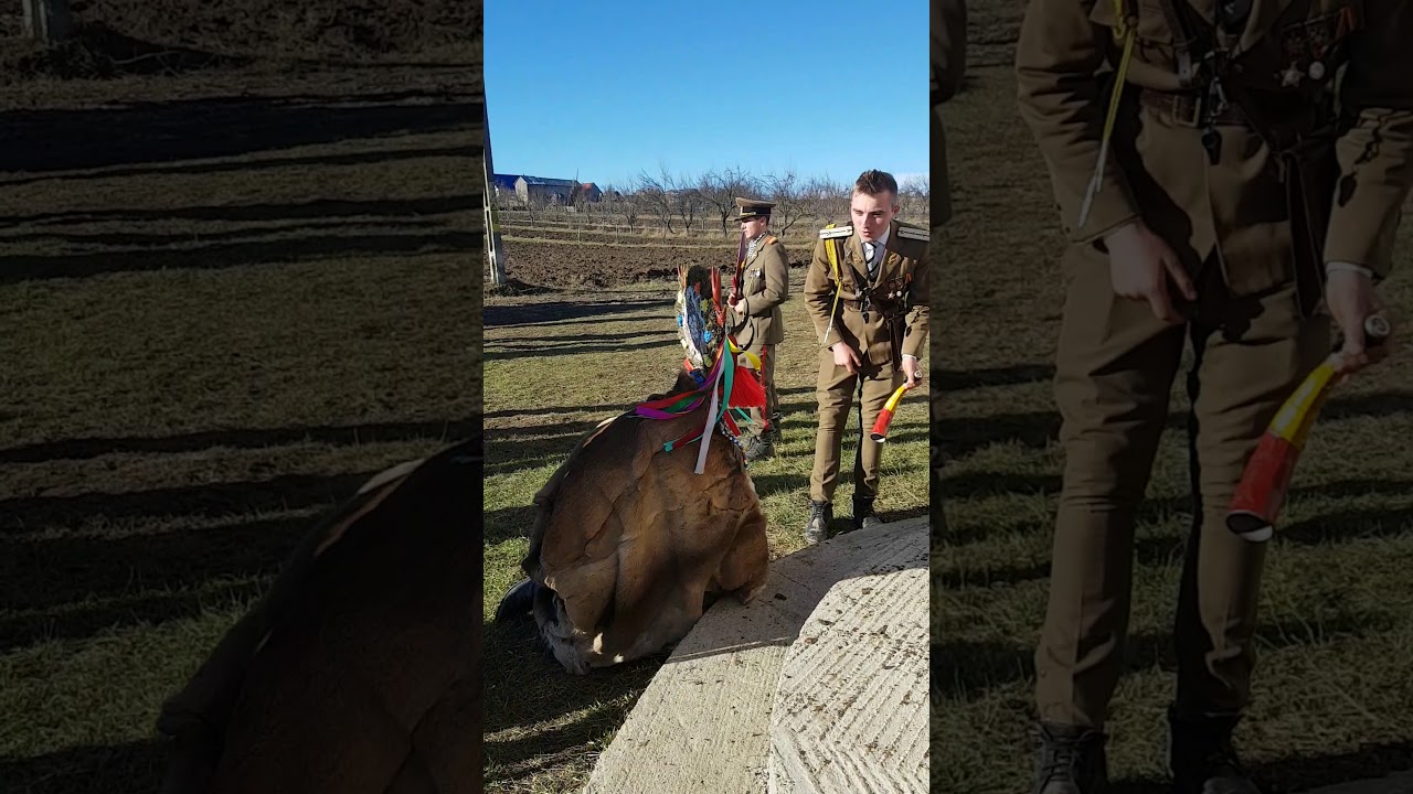 Cerbul de la sticlaria