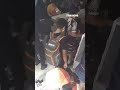 Looters RANSACK phone case shop during France riots #shorts
