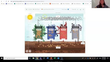 Grade 7: Matter and Energy in Ecosystems, Lesson 1 (Part 3 of 4)