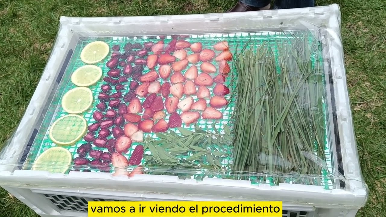 Prepara TU PROPIO TÉ DE FRUTAS DESHIDRATADAS, aquí te enseño todo el proceso.