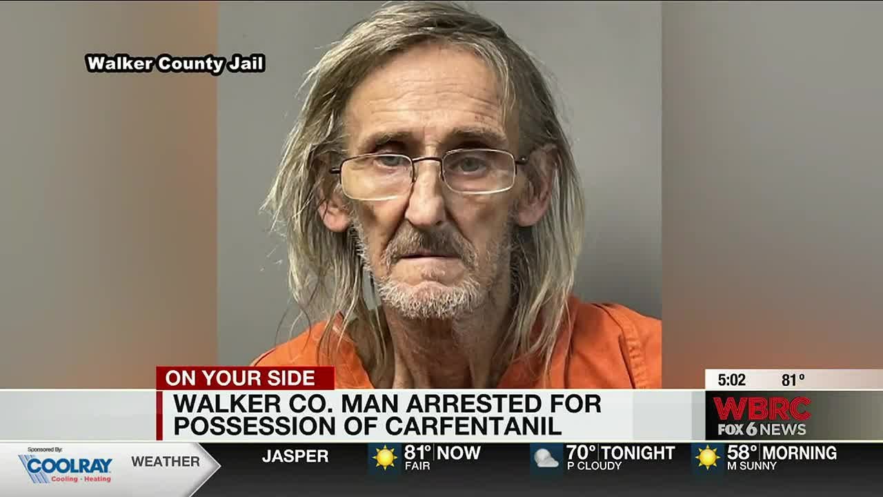 Walker County man arrested for possession of carfentanil - YouTube