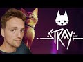 Let's play Stray
