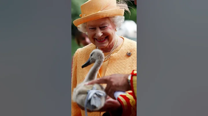 Coisas que voc no sabia sobre a Rainha Elizabeth #...