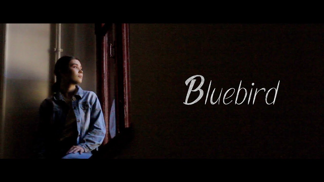 Beach House - Bluebird (Unofficial/Fan Music Video)