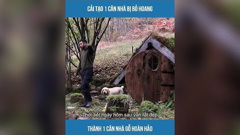 Cải tạo căn nhà bỏ hoang thành căn nhà gỗ hoàn hảo