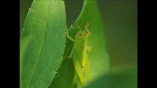 Dokutas Pictures With Winter Vivaldi The Four Seasons