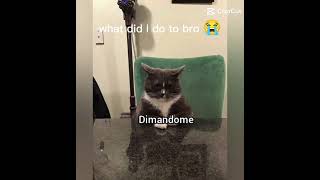 shut your play State chicken bone Google Chrome up from Flintstone underground no home garden gnome