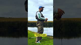 FISHERMEN try EVERY fly! #fish #scottish #fishing #flyfisherman #flyfishing